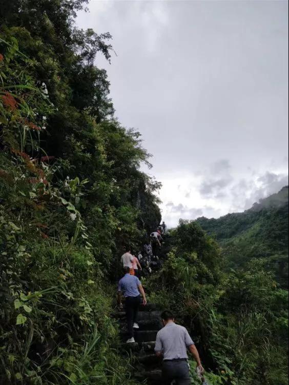 无码影片